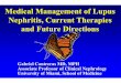 Medical Management of Lupus Nephritis, Current Therapies