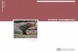 Indian mongoose - Department of Agriculture, Fisheries and