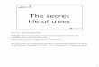 The secret life of trees presentation - The Woodland Trust