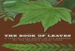 THE BOOK OF LEAVES - University of Chicago Press