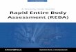 Rapid Entire Body Assessment (REBA) - Ergonomics Plus