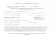 CONTRACT SUMMARY SHEET - City Clerk Internet Site - City Council