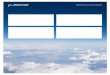 2009 Environment Report - Boeing
