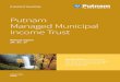 Managed Municipal Income Trust Annual Report