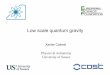 Introduction to topic : Low scale quantum gravity