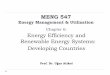 Renewable Energy Systems: Developing Countries MENG 547 