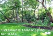 Sustainable Landscaping for HOAs