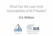 What Can We Learn from Vulnerabilities of NLP Models?