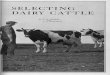 SELECTING DAIRY CATTLE - IDEALS