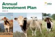 Annual Investment Plan