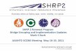 SHRP 2 Renewal Program Bridge Grouping and Implementation 