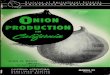 Onion production in California - Internet Archive