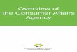 Overview of the Consumer Affairs Agency