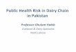 Public Health Risk with Dairy Chain in Pakistan