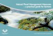 Natural Flood Management Measures – a practical guide for 