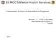 Commander Support of Mental Health Programs Briefer: Lt 