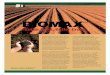 BIOMAX - Agro-K