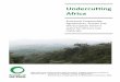 Undercutting Africa - Friends of the Earth