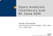 Open Analysis Interfaces and BI Java SDK