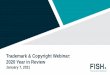 Trademark & Copyright Webinar: 2020 Year in Review