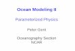 Ocean Modeling I - CESM®