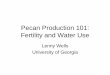 Pecan Production 101: Cultural Management