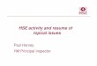 HSE activity and resume of topical issues