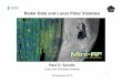 Radar Data and Lunar Polar Volatiles