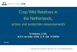 Crop Wild Relatives in the Netherlands,