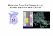 Molecular Graphics Perspective of Protein Structure and 