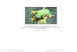 The gliding ability of Agalychnis spurrelli (Anura: Hylidae) and the