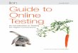 Guide to Online Testing - ion interactive