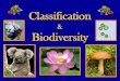Classification & Biodiversity
