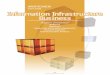 Information Infrastructure Business