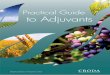 Practical Guide to Adjuvants