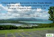 Carbonaceous Aerosols over the Tropics: Results from 