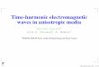 Time-harmonic electromagnetic waves in anisotropic media