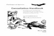 Endangered Species Consultation Handbook - Fish and