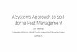 A Systems Approach to Soil-Borne Pest Management