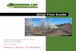 2016 Tree Guide - Green-Up Landscape
