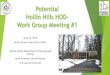 Potential Hollin Hills HOD- Work Group Meeting #1