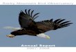 Annual Report Rocky Mountain Bird Observatory 2007–2008