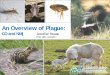 An Overview of Plague - NIHB
