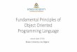 Fundamental Principles of Object Oriented Programming Language