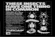 THESE INSECTS HAV IN COMMON 8 E ONE THING
