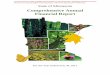 Comprehensive Annual Financial Report - Minnesota