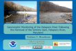 Geomorphic Monitoring of the Patapsco River Following the