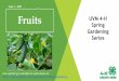 June 1, 2021 Fruits UVM 4-H Spring Gardening Series