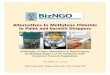 BizNGO - Clean Production Action