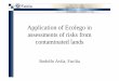 Application of Ecolego in assessments of risks from